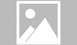 斗龙战士漫画,勇闯龙域，守护地球传奇